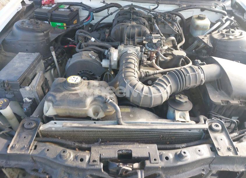 Photo 10 of 2005 Ford Mustang (VIN 1ZVFT84N555206332)