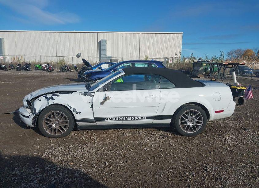 Photo 14 of 2005 Ford Mustang (VIN 1ZVFT84N555206332)