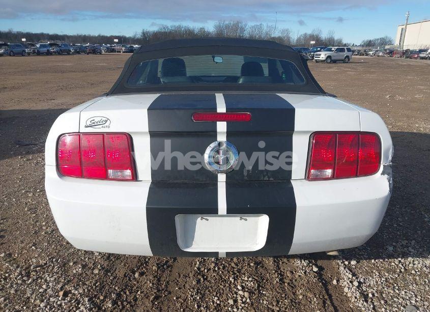Photo 16 of 2005 Ford Mustang (VIN 1ZVFT84N555206332)