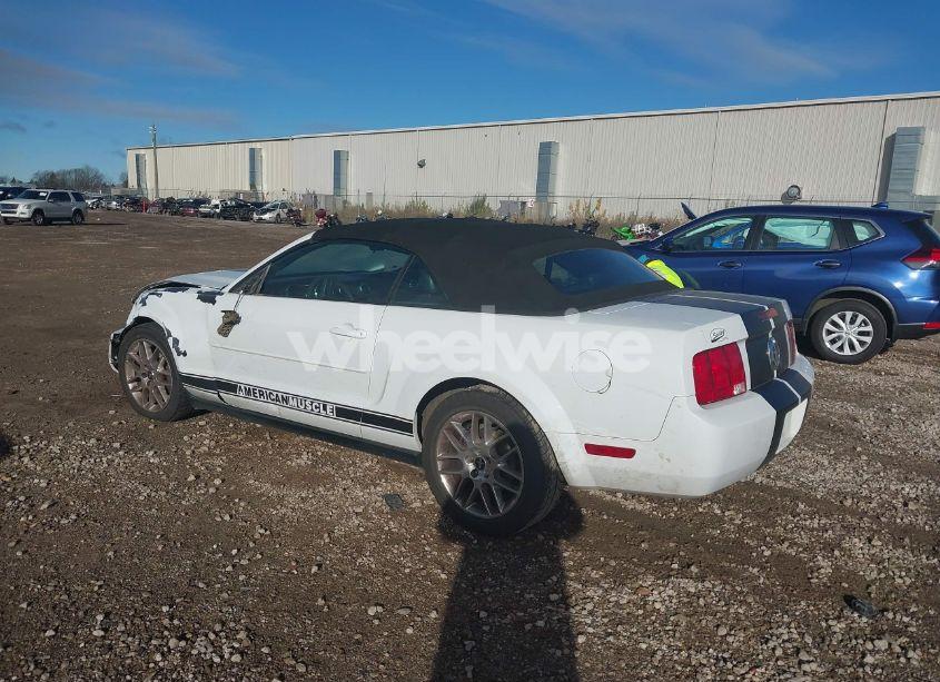 Photo 3 of 2005 Ford Mustang (VIN 1ZVFT84N555206332)