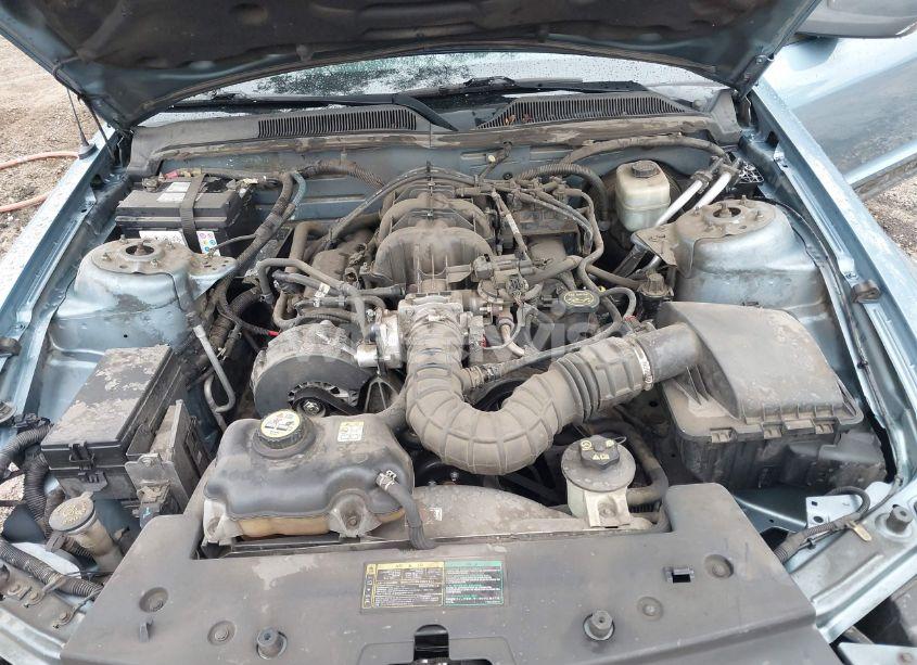 Photo 10 of 2005 Ford Mustang (VIN 1ZVFT84N555227908)