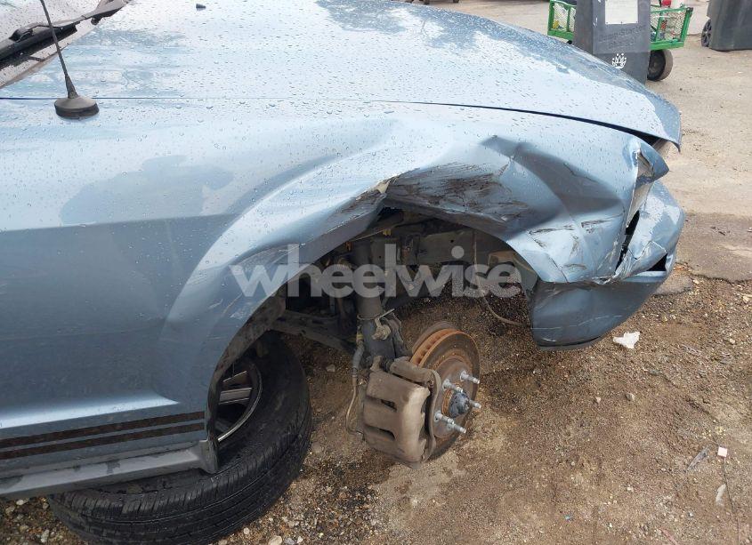 Photo 12 of 2005 Ford Mustang (VIN 1ZVFT84N555227908)