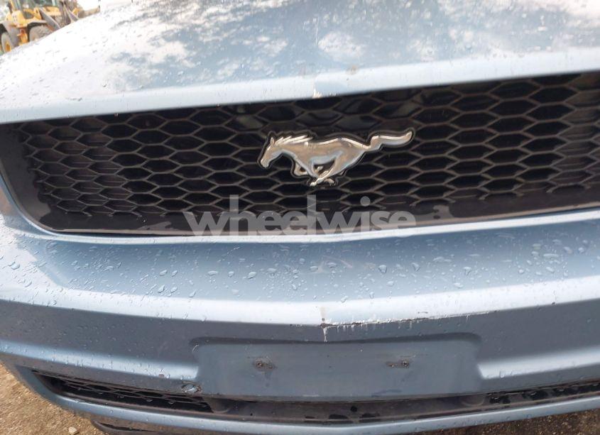 Photo 16 of 2005 Ford Mustang (VIN 1ZVFT84N555227908)