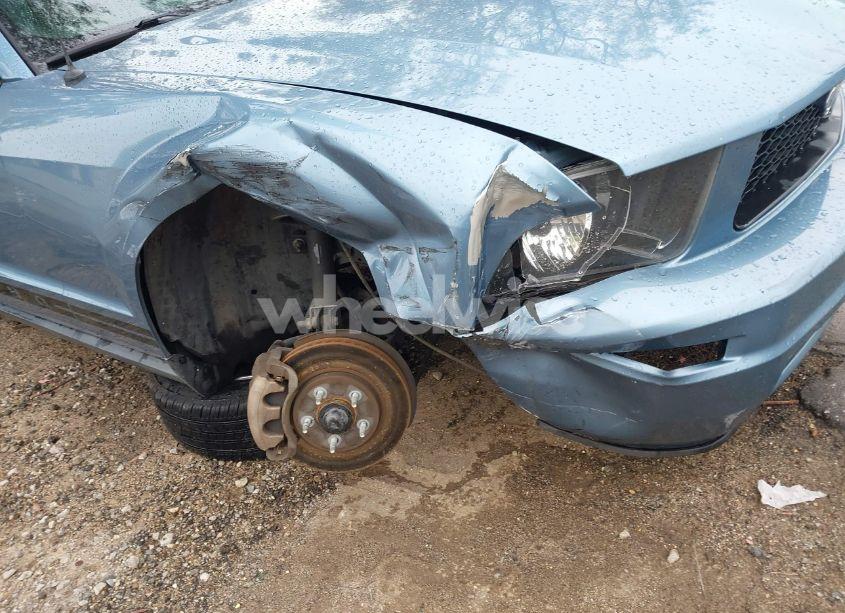 Photo 6 of 2005 Ford Mustang (VIN 1ZVFT84N555227908)