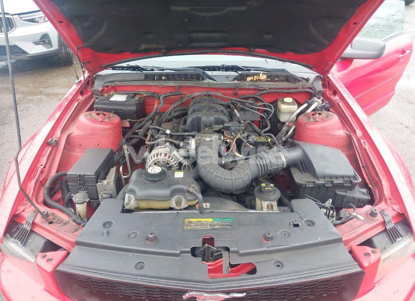 Photo 10 of 2007 Ford Mustang V6 DELUXE/V6 PREMIUM (VIN 1ZVFT84N575252231)