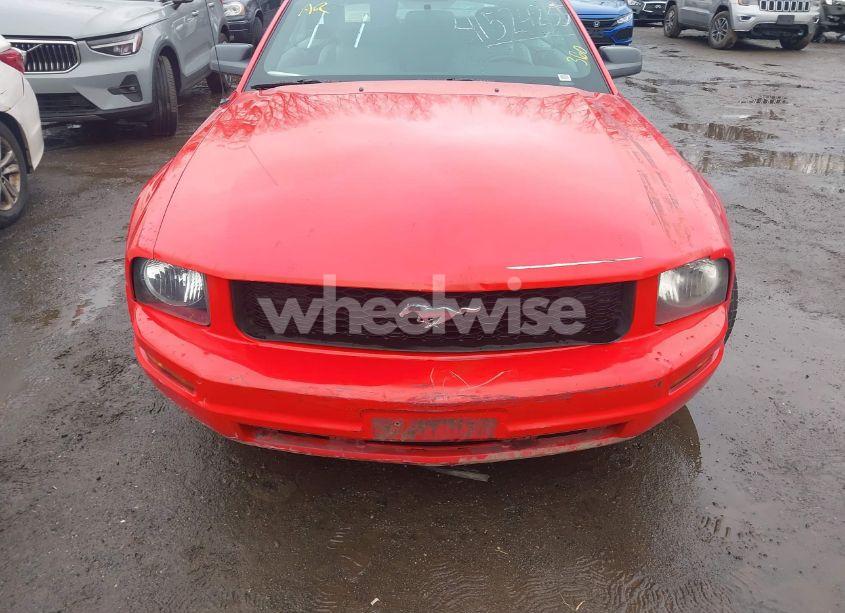 Photo 6 of 2007 Ford Mustang V6 DELUXE/V6 PREMIUM (VIN 1ZVFT84N575252231)