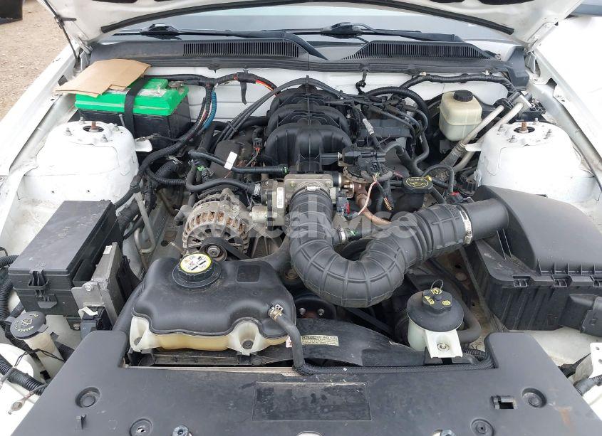 Photo 10 of 2007 Ford Mustang V6 DELUXE/V6 PREMIUM (VIN 1ZVFT84N575265691)