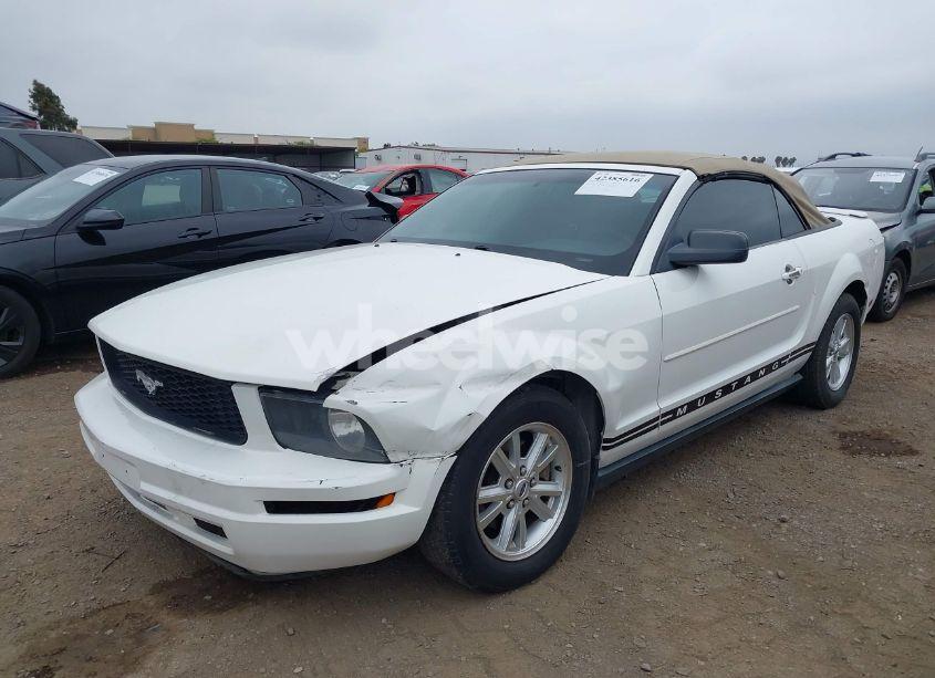 Photo 6 of 2007 Ford Mustang V6 DELUXE/V6 PREMIUM (VIN 1ZVFT84N575265691)