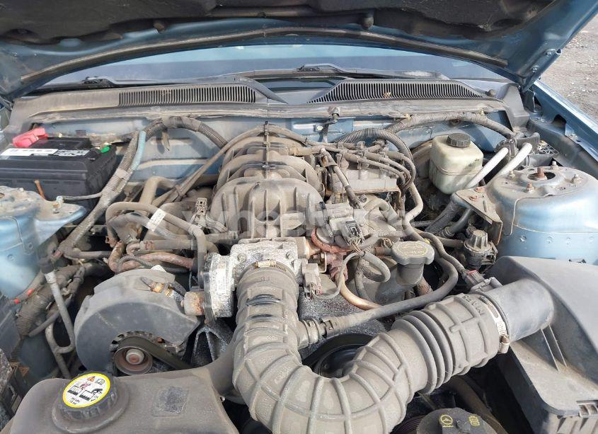 Photo 10 of 2005 Ford Mustang (VIN 1ZVFT84N655239873)