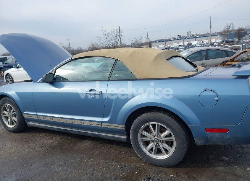 Photo 6 of 2005 Ford Mustang (VIN 1ZVFT84N655239873)
