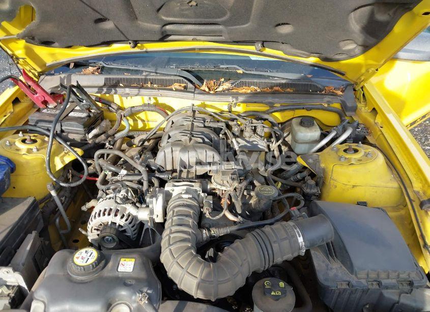 Photo 10 of 2005 Ford Mustang (VIN 1ZVFT84N655253188)