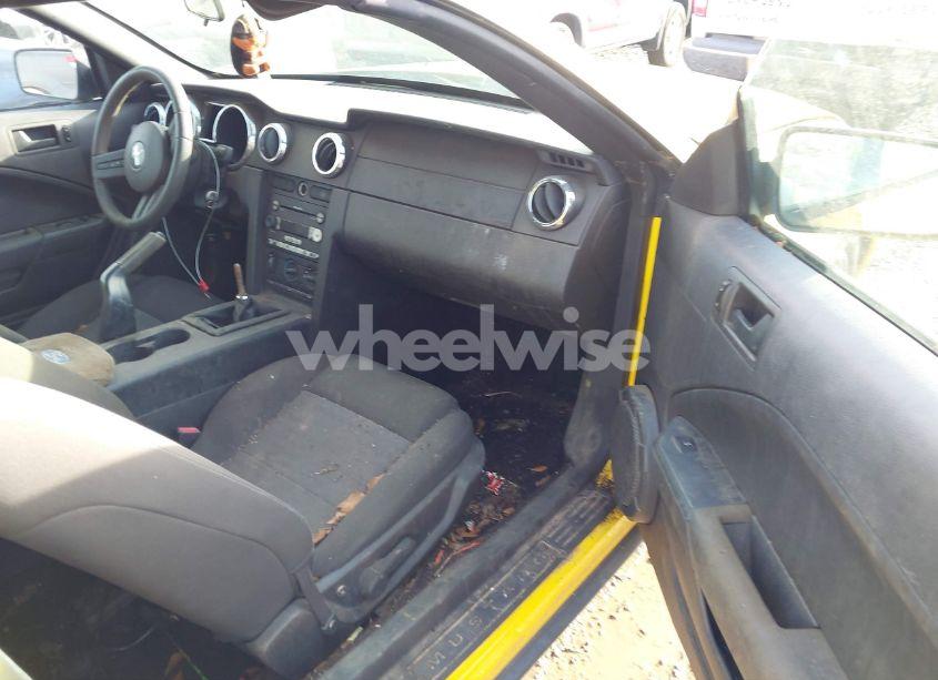 Photo 5 of 2005 Ford Mustang (VIN 1ZVFT84N655253188)