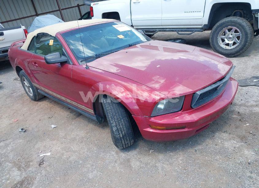 2005 Ford Mustang (VIN 1ZVFT84N655253370) main photo