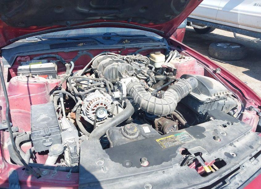 Photo 10 of 2005 Ford Mustang (VIN 1ZVFT84N655253370)