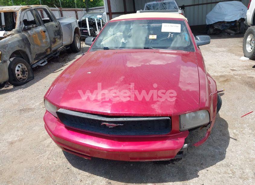 Photo 13 of 2005 Ford Mustang (VIN 1ZVFT84N655253370)