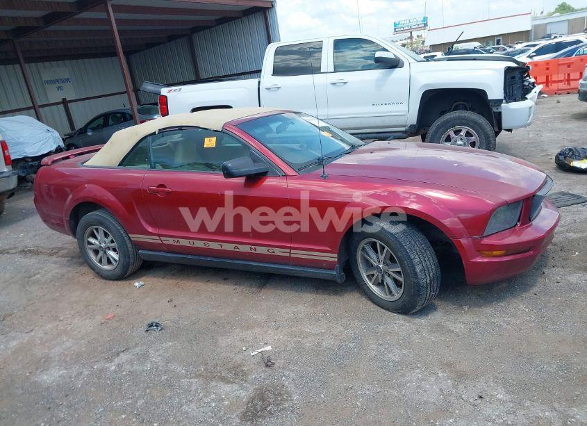 Photo 14 of 2005 Ford Mustang (VIN 1ZVFT84N655253370)