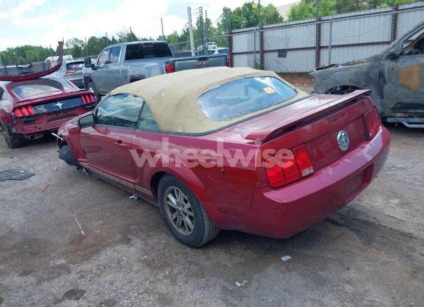 Photo 15 of 2005 Ford Mustang (VIN 1ZVFT84N655253370)