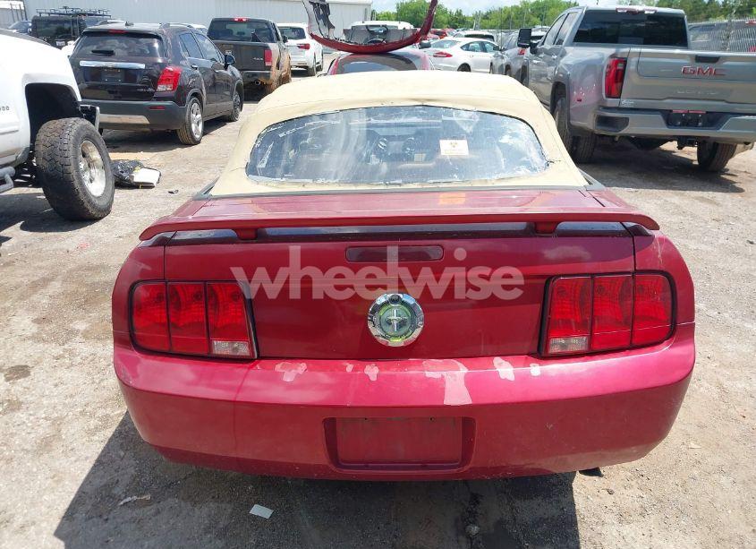 Photo 17 of 2005 Ford Mustang (VIN 1ZVFT84N655253370)