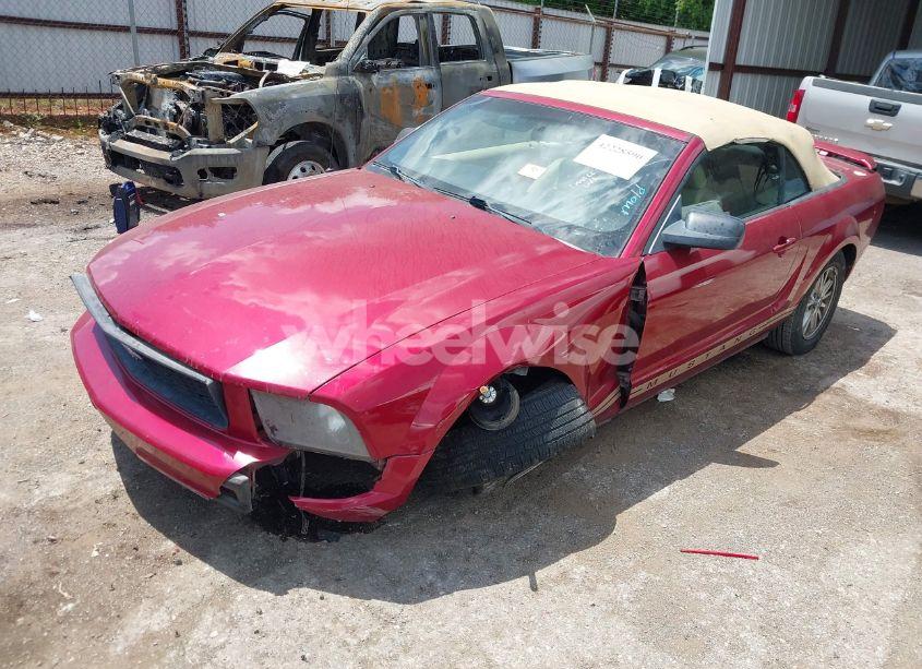 Photo 2 of 2005 Ford Mustang (VIN 1ZVFT84N655253370)