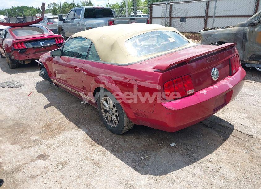 Photo 3 of 2005 Ford Mustang (VIN 1ZVFT84N655253370)