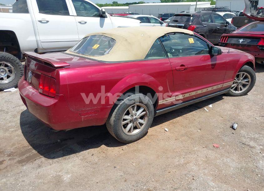 Photo 4 of 2005 Ford Mustang (VIN 1ZVFT84N655253370)