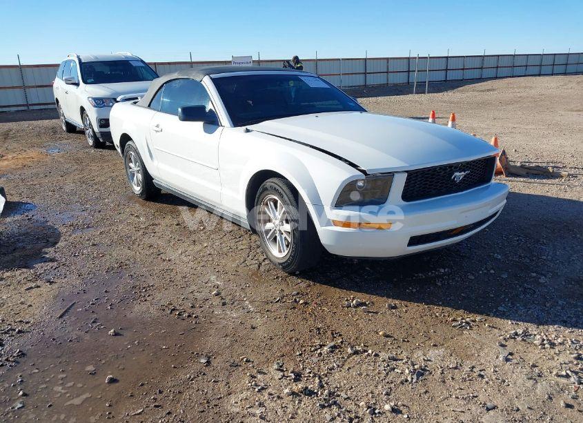 2006 Ford Mustang V6 (VIN 1ZVFT84N665189638) main photo