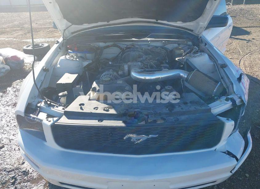 Photo 10 of 2006 Ford Mustang V6 (VIN 1ZVFT84N665189638)