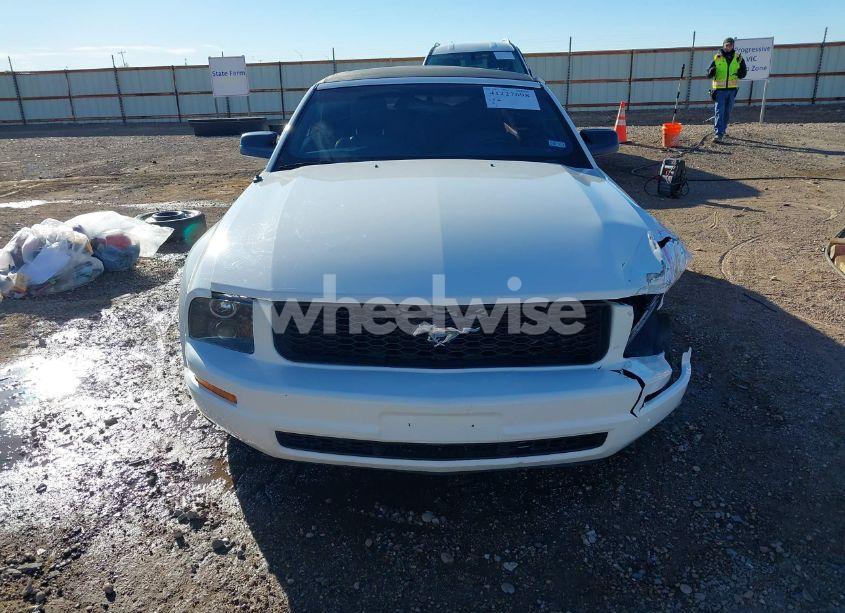 Photo 12 of 2006 Ford Mustang V6 (VIN 1ZVFT84N665189638)