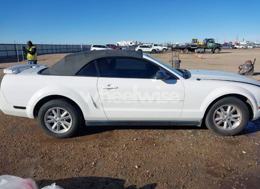 Photo 13 of 2006 Ford Mustang V6 (VIN 1ZVFT84N665189638)