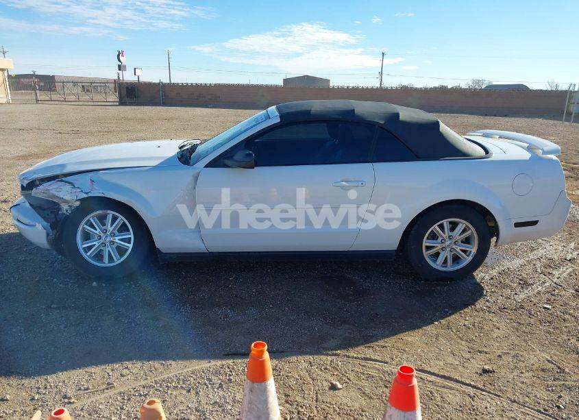 Photo 14 of 2006 Ford Mustang V6 (VIN 1ZVFT84N665189638)