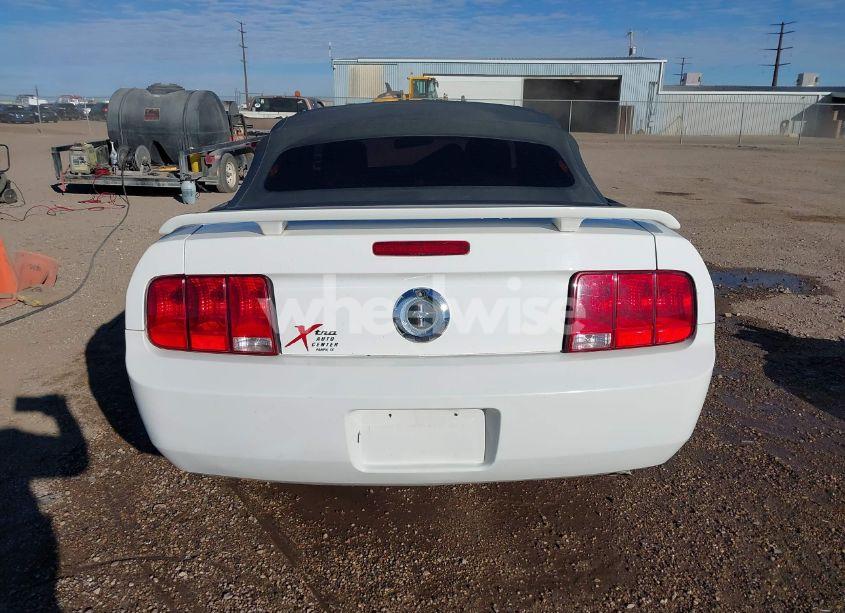 Photo 16 of 2006 Ford Mustang V6 (VIN 1ZVFT84N665189638)