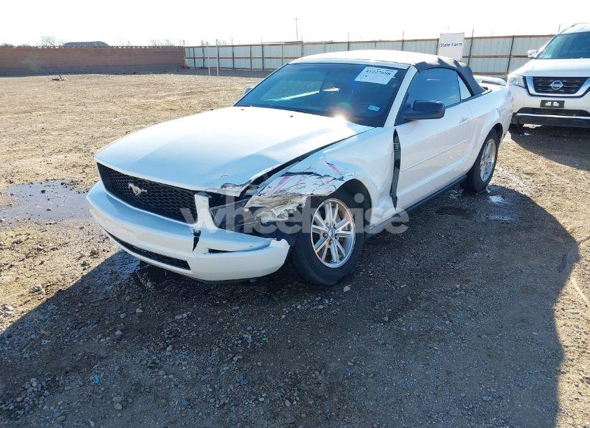 Photo 2 of 2006 Ford Mustang V6 (VIN 1ZVFT84N665189638)