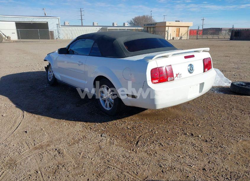 Photo 3 of 2006 Ford Mustang V6 (VIN 1ZVFT84N665189638)