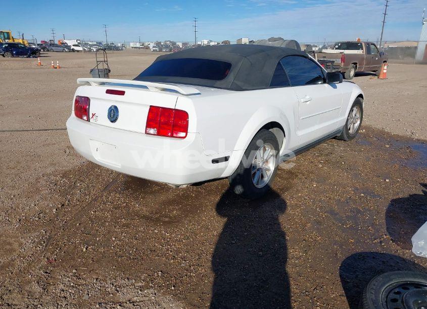 Photo 4 of 2006 Ford Mustang V6 (VIN 1ZVFT84N665189638)