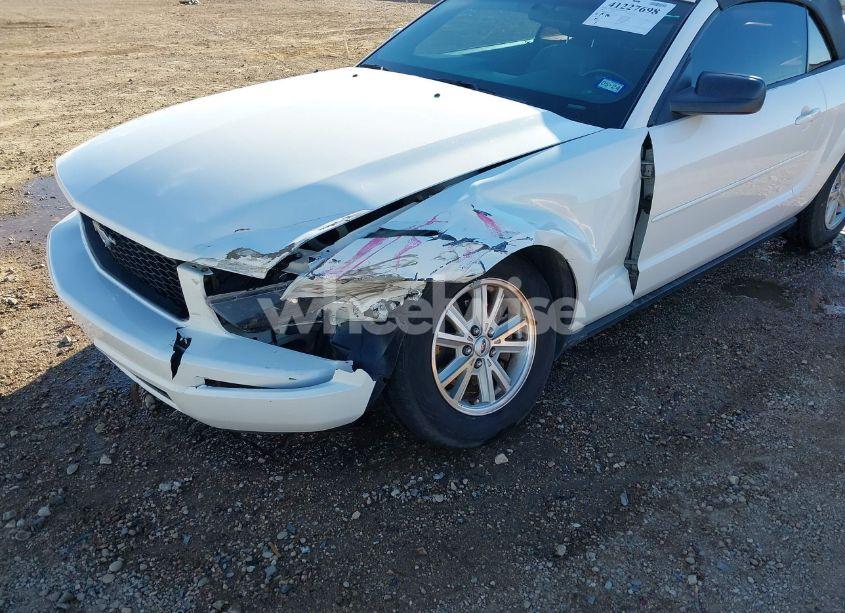 Photo 6 of 2006 Ford Mustang V6 (VIN 1ZVFT84N665189638)