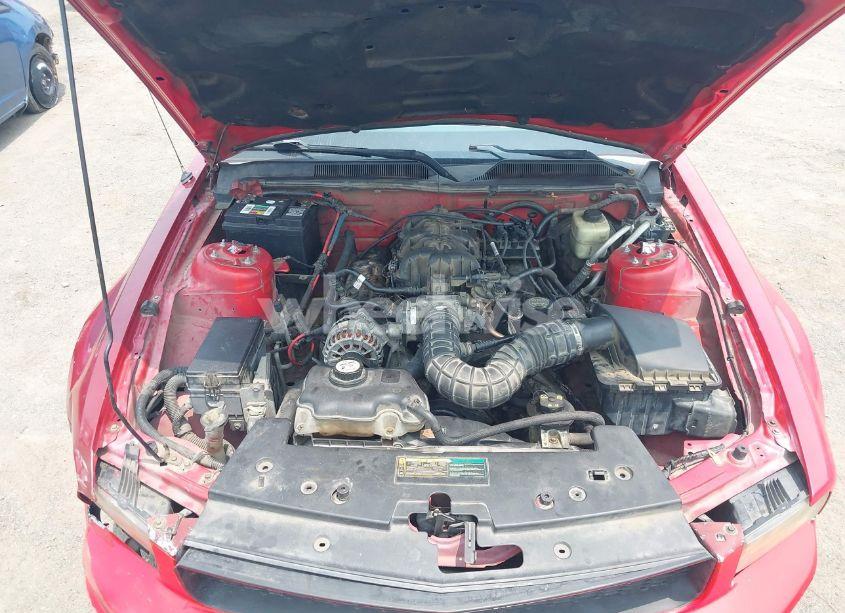 Photo 10 of 2007 Ford Mustang V6 DELUXE/V6 PREMIUM (VIN 1ZVFT84N675212224)