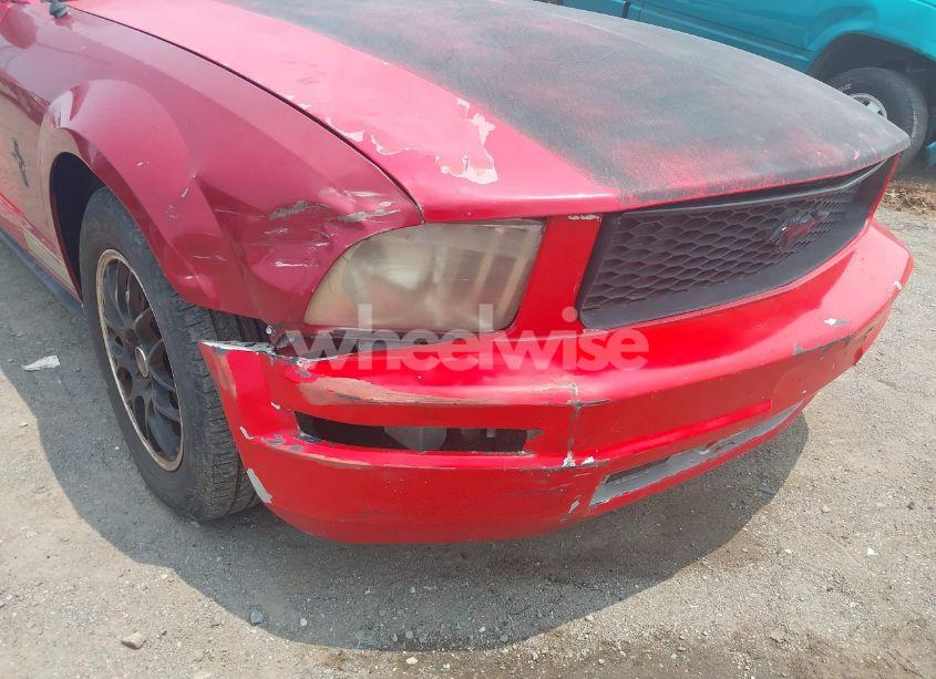 Photo 6 of 2007 Ford Mustang V6 DELUXE/V6 PREMIUM (VIN 1ZVFT84N675212224)
