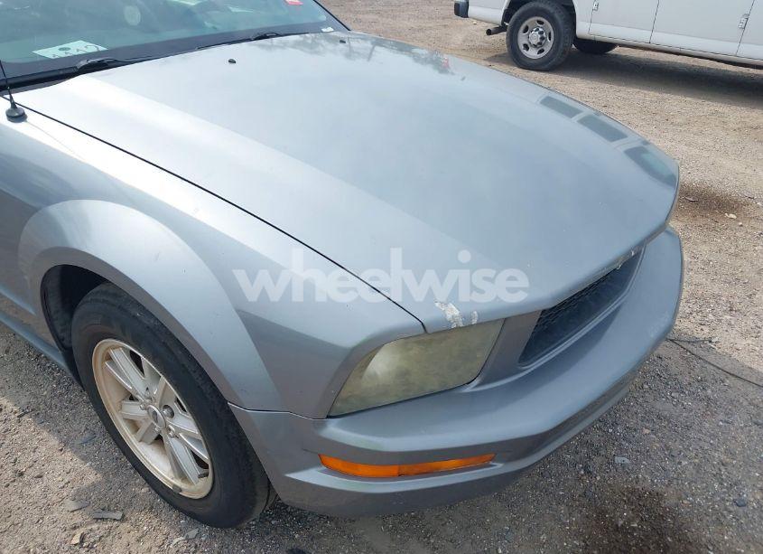 Photo 6 of 2007 Ford Mustang V6 DELUXE/V6 PREMIUM (VIN 1ZVFT84N675260614)