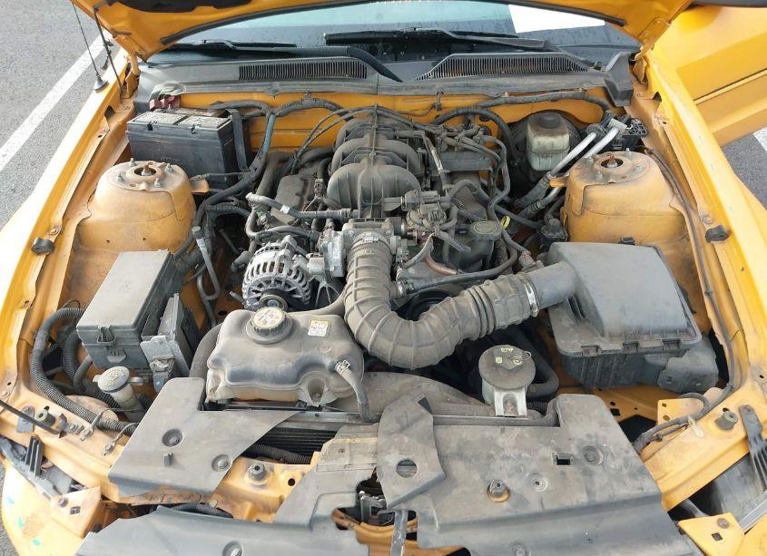 Photo 10 of 2007 Ford Mustang V6 DELUXE/V6 PREMIUM (VIN 1ZVFT84N675276408)