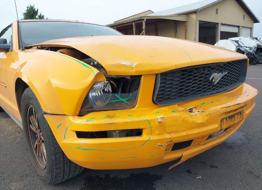 Photo 6 of 2007 Ford Mustang V6 DELUXE/V6 PREMIUM (VIN 1ZVFT84N675276408)