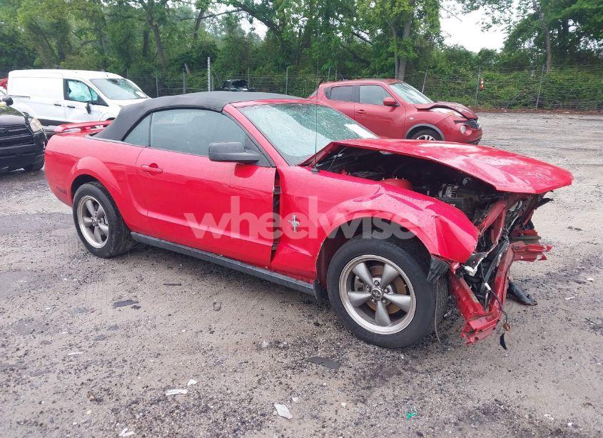 2006 Ford Mustang V6 (VIN 1ZVFT84N765107125) main photo