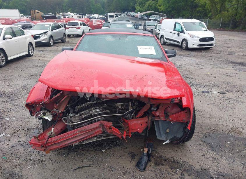 Photo 13 of 2006 Ford Mustang V6 (VIN 1ZVFT84N765107125)