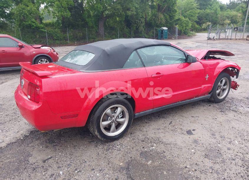 Photo 4 of 2006 Ford Mustang V6 (VIN 1ZVFT84N765107125)