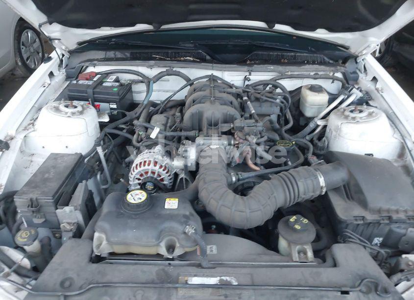 Photo 10 of 2007 Ford Mustang V6 DELUXE/V6 PREMIUM (VIN 1ZVFT84N775276319)