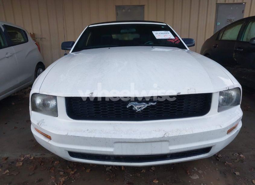 Photo 6 of 2007 Ford Mustang V6 DELUXE/V6 PREMIUM (VIN 1ZVFT84N775276319)