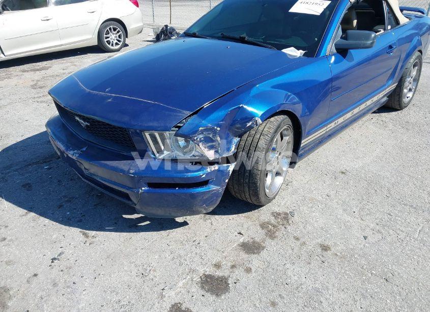 Photo 12 of 2007 Ford Mustang V6 DELUXE/V6 PREMIUM (VIN 1ZVFT84N775330461)