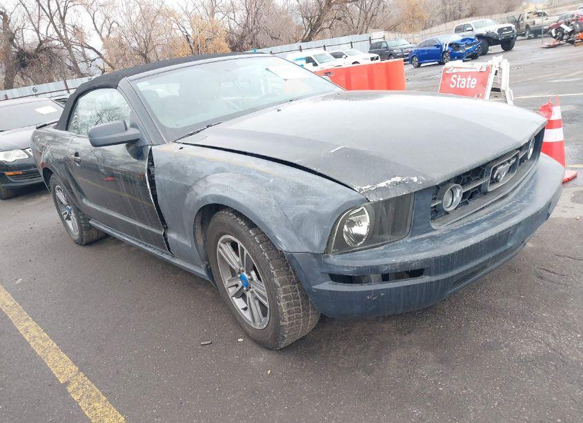 2007 Ford Mustang V6 DELUXE/V6 PREMIUM (VIN 1ZVFT84N775345672) main photo