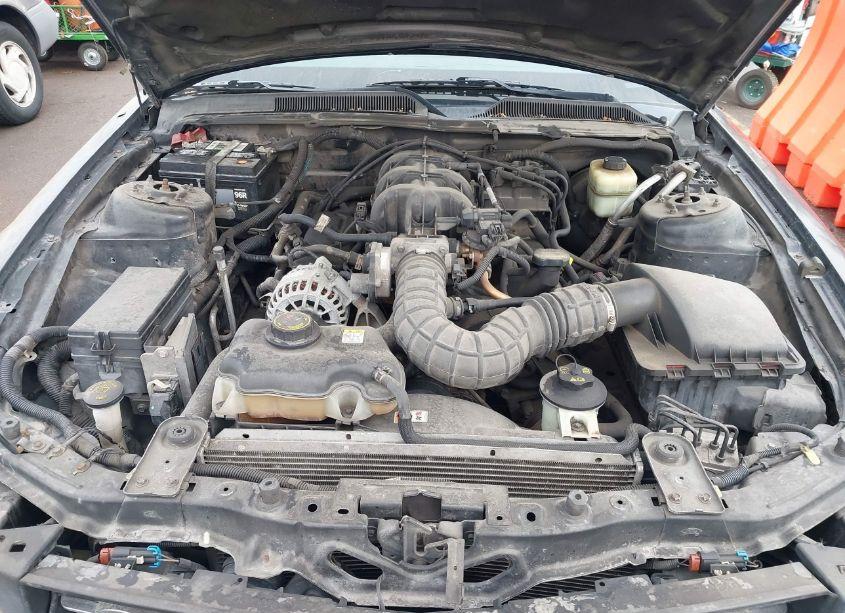 Photo 10 of 2007 Ford Mustang V6 DELUXE/V6 PREMIUM (VIN 1ZVFT84N775345672)