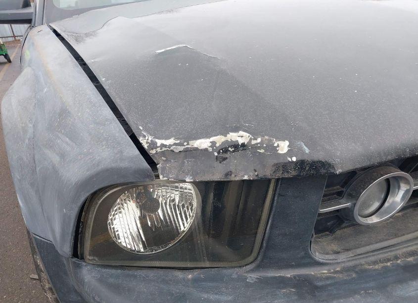 Photo 6 of 2007 Ford Mustang V6 DELUXE/V6 PREMIUM (VIN 1ZVFT84N775345672)