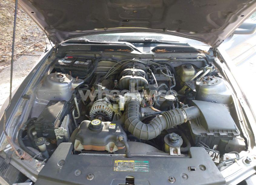 Photo 10 of 2006 Ford Mustang V6 (VIN 1ZVFT84N865179760)